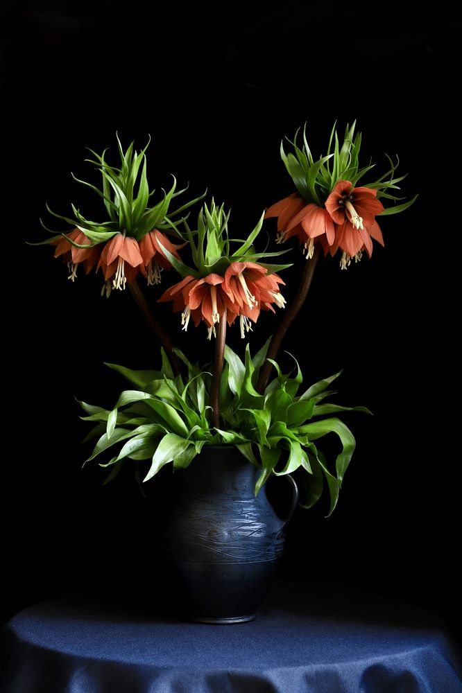 Photograph by Татьяна Кытина