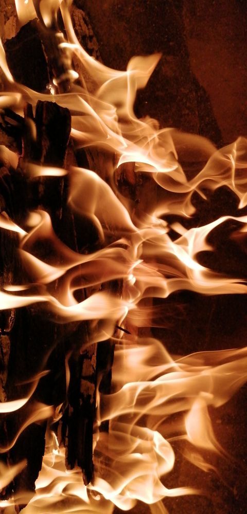 Photograph by Shaiban Albasha