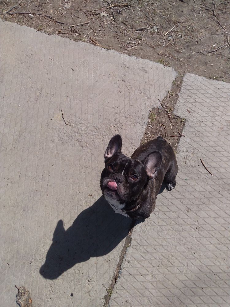 Photograph by СТЕПАН ДЖУЛАКИДЗЕ