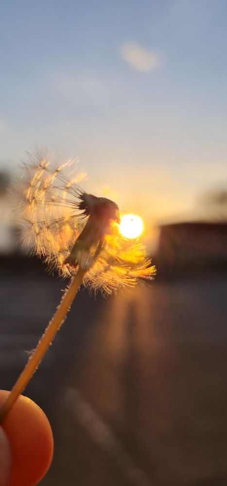 Photograph by Максим Бесчастнов