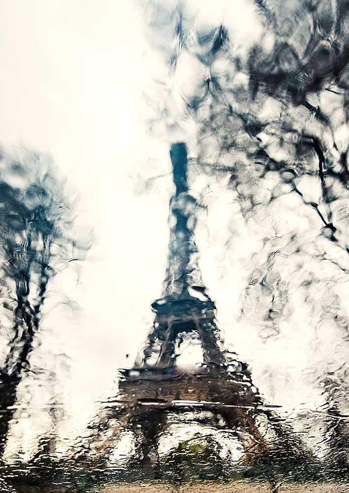 Фотография автора Ramin Barzegar