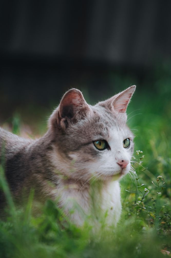 Photograph by Bhatt Muxamil