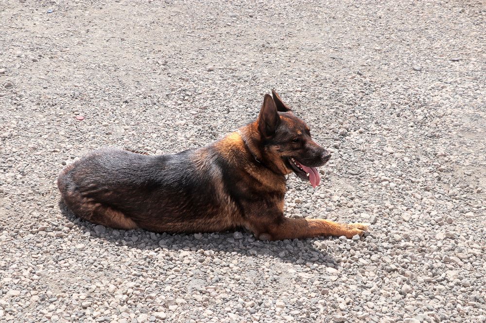 Photograph by Drora Baharal