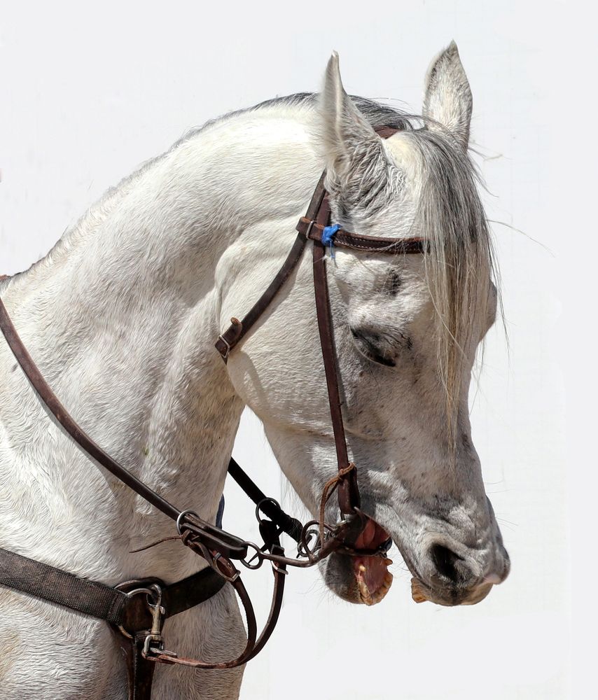 Photograph by Drora Baharal