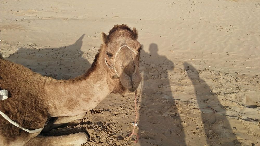 Photograph by Jellab Abdellatif