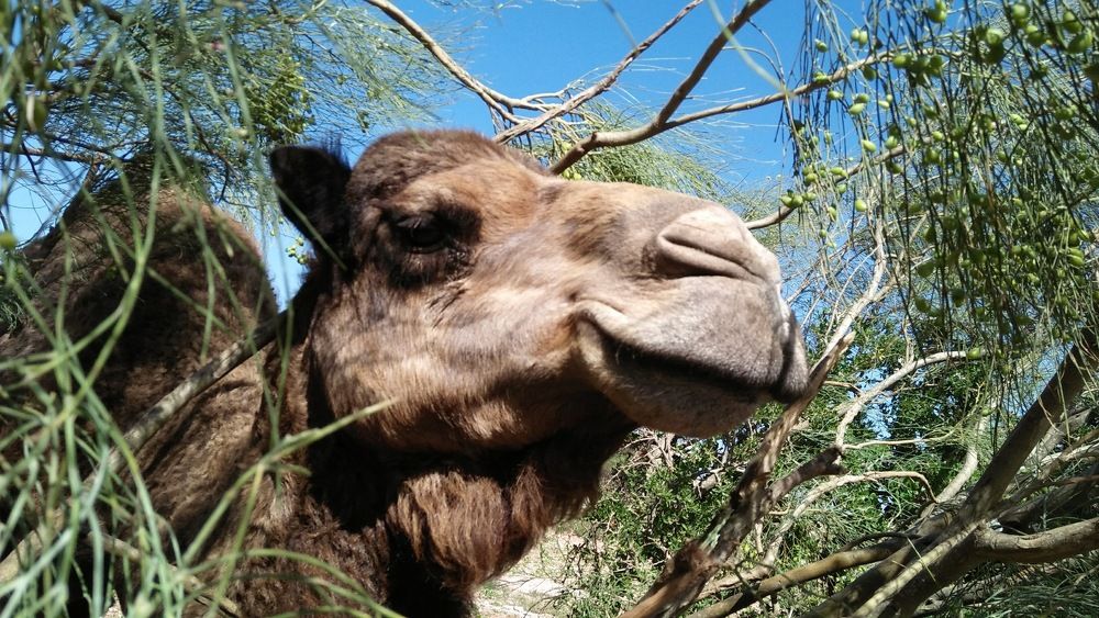 Photograph by Jellab Abdellatif