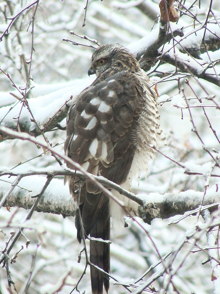 Photograph by Евгения Алексеева