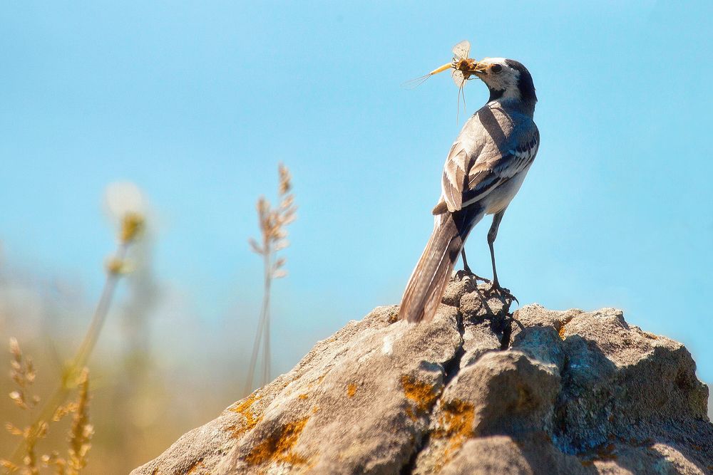 Photograph by Усманов Рашид