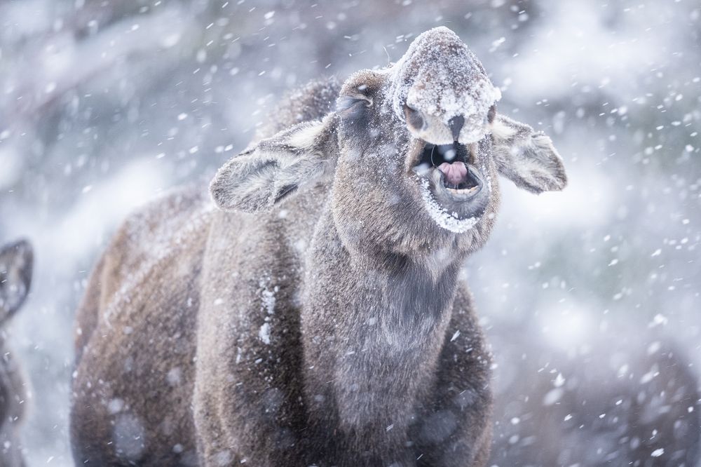 Photograph by Philipp Jakesch