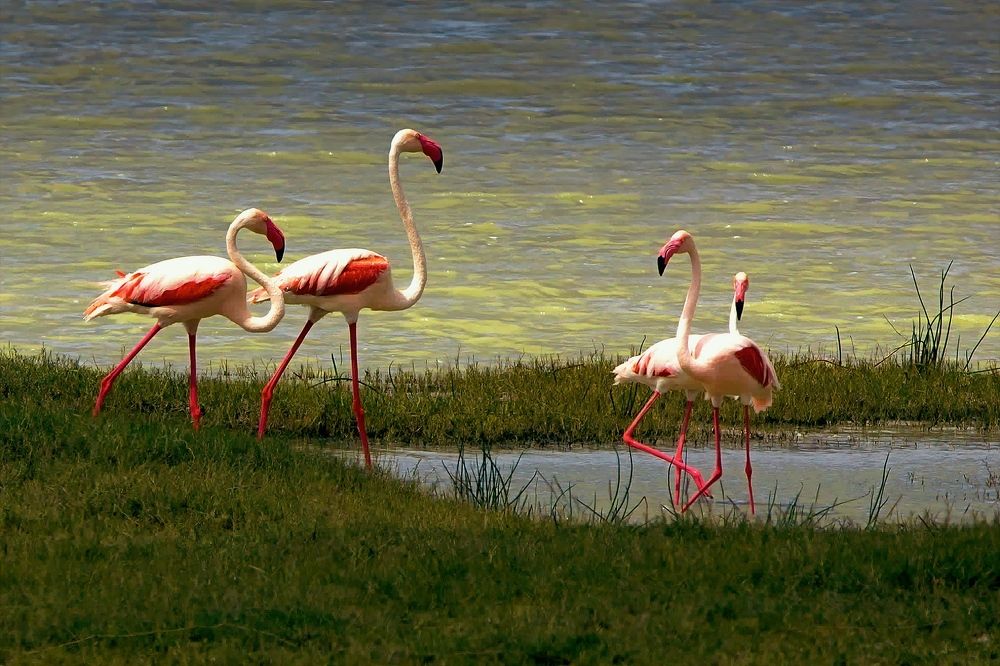 Photograph by Усманов Рашид