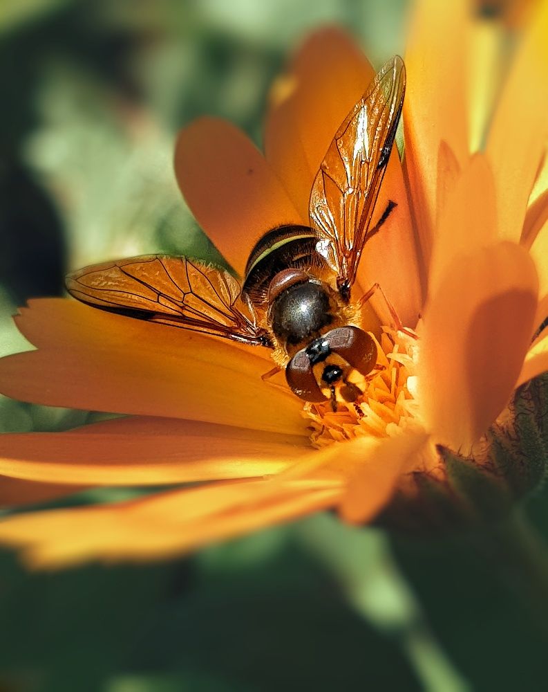 Photograph by Катерина Коханова