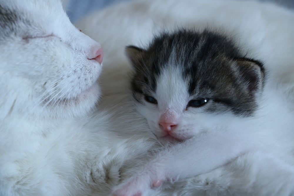 Photograph by Cengiz Yalcin