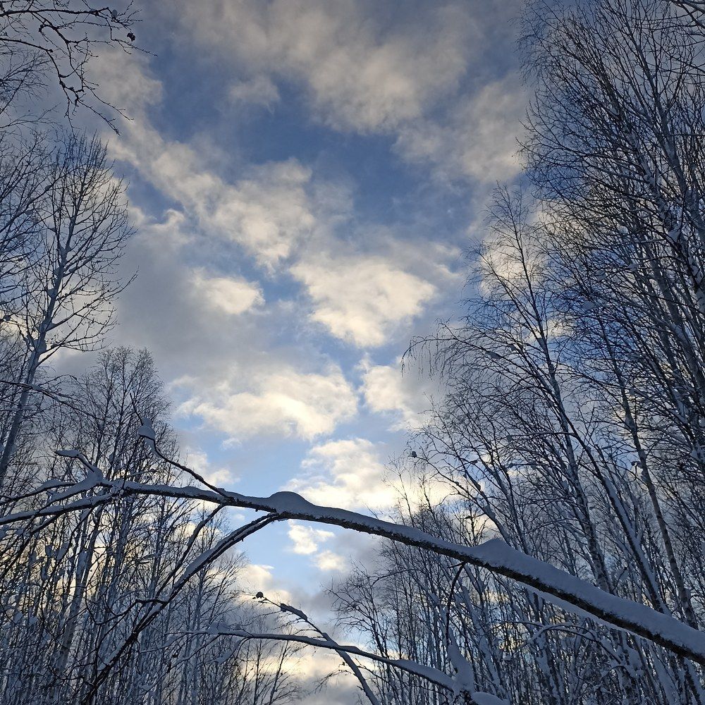 Photograph by Корень Наташа