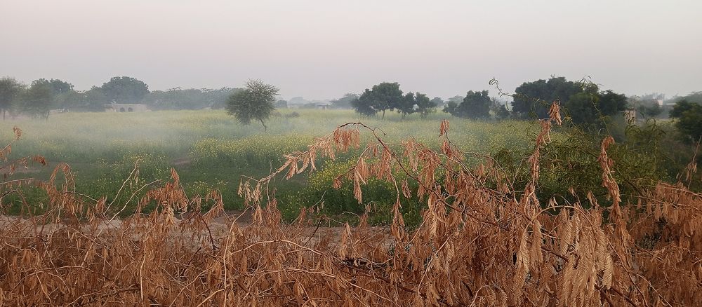 Фотография автора Fawad Hashmi