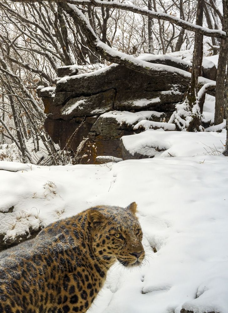 Фотография автора Nitin Michael