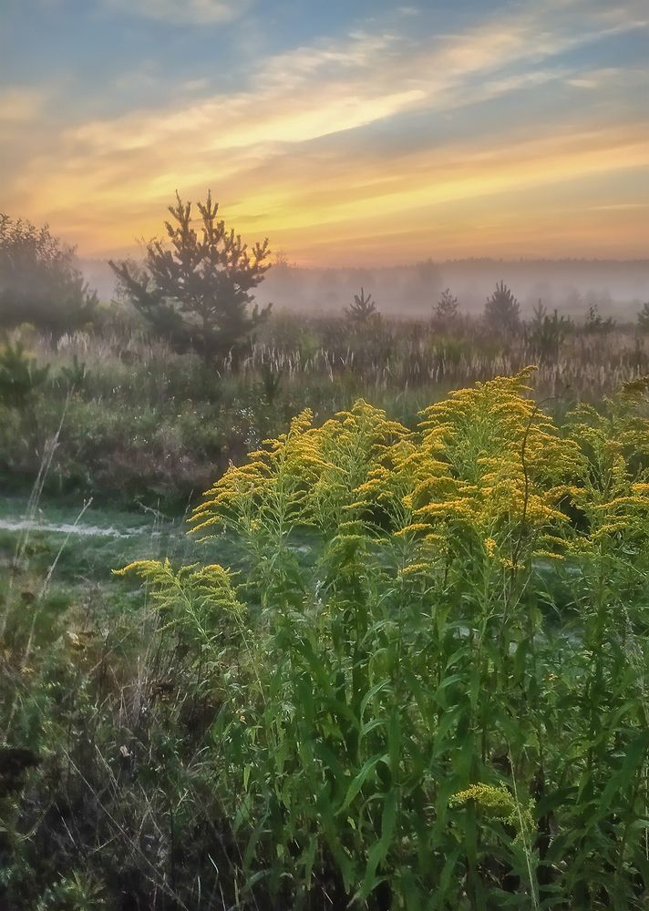 Photograph by Николай Андреев