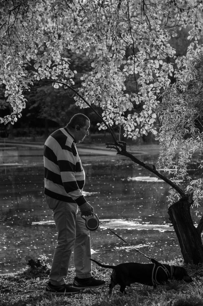 Photograph by Weinstein Isabela