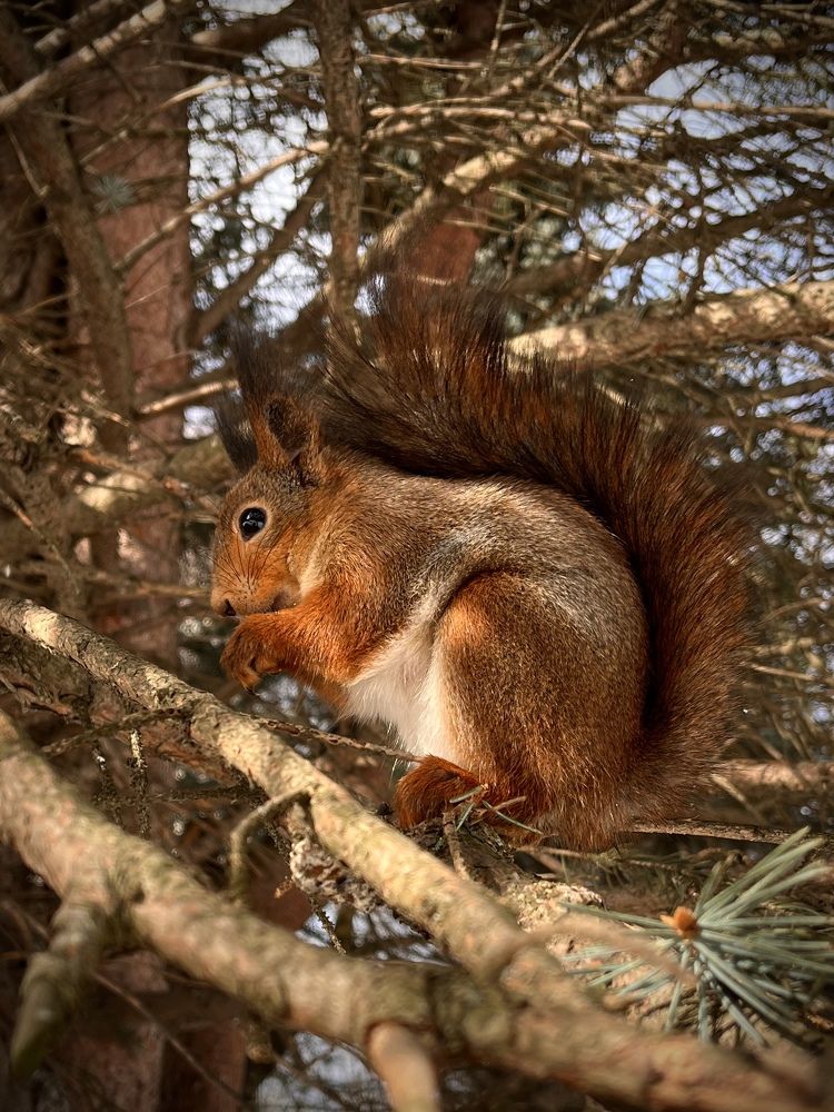 Photograph by Бравичева Анастасия