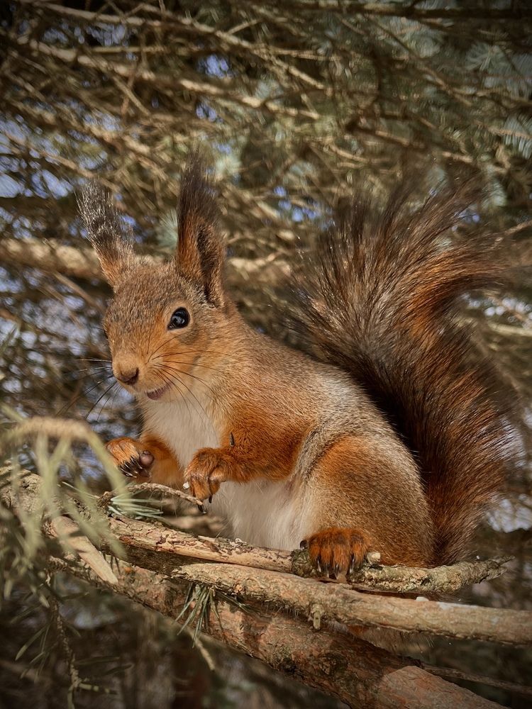 Photograph by Бравичева Анастасия