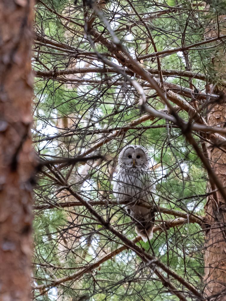 Photograph by Ильдар Гараев