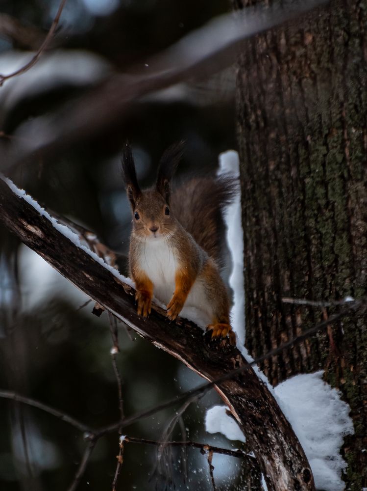 Photograph by Ильдар Гараев