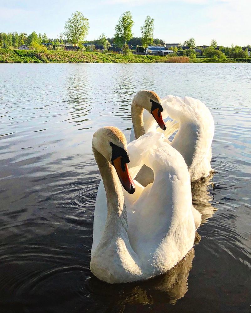 Photograph by Лариса Акинчиц