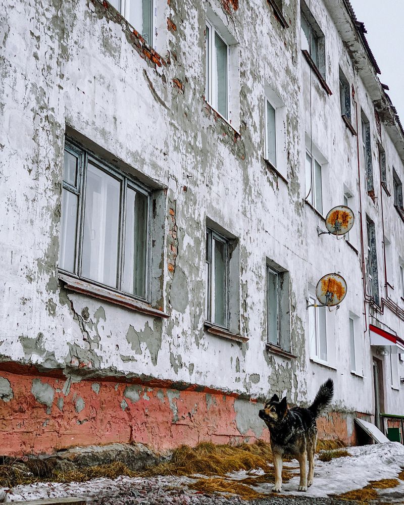 Фотография автора Елена Шилина