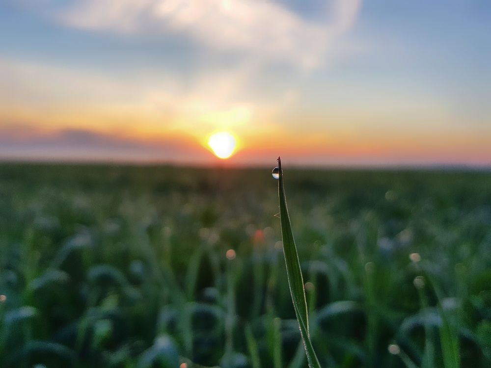 Photograph by Ильдар Гараев