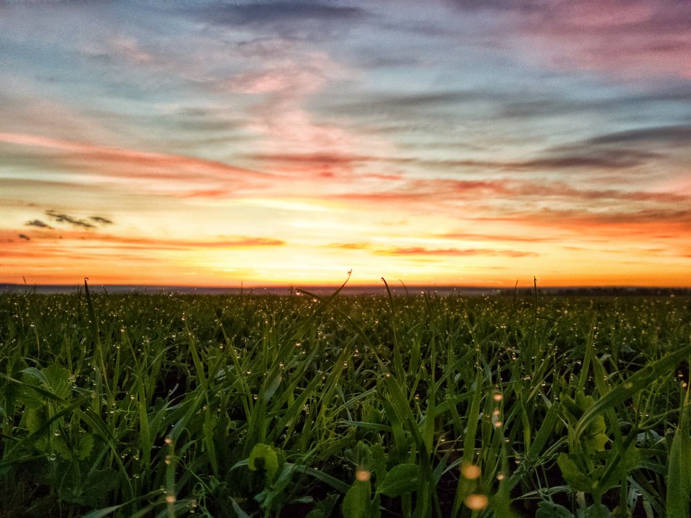 Photograph by Ильдар Гараев