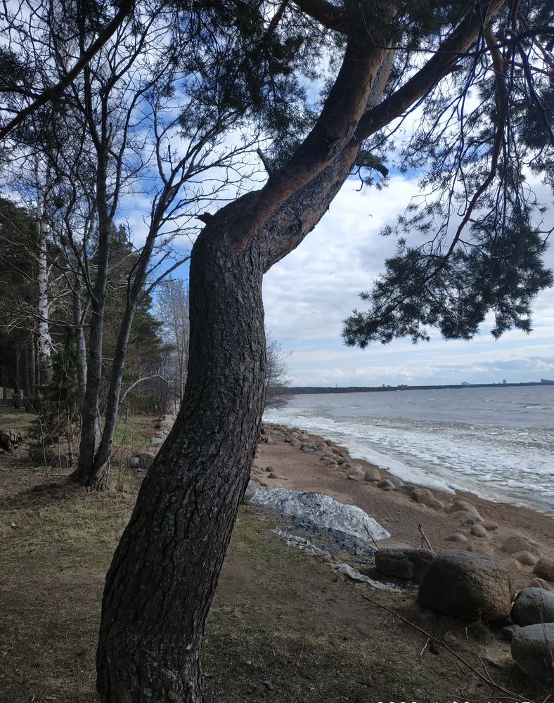 Photograph by Светлана Белозерова