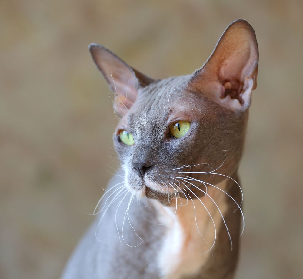 Photograph by Станислав Вершинин