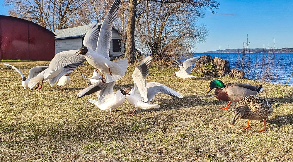 Photograph by Eren Kufi