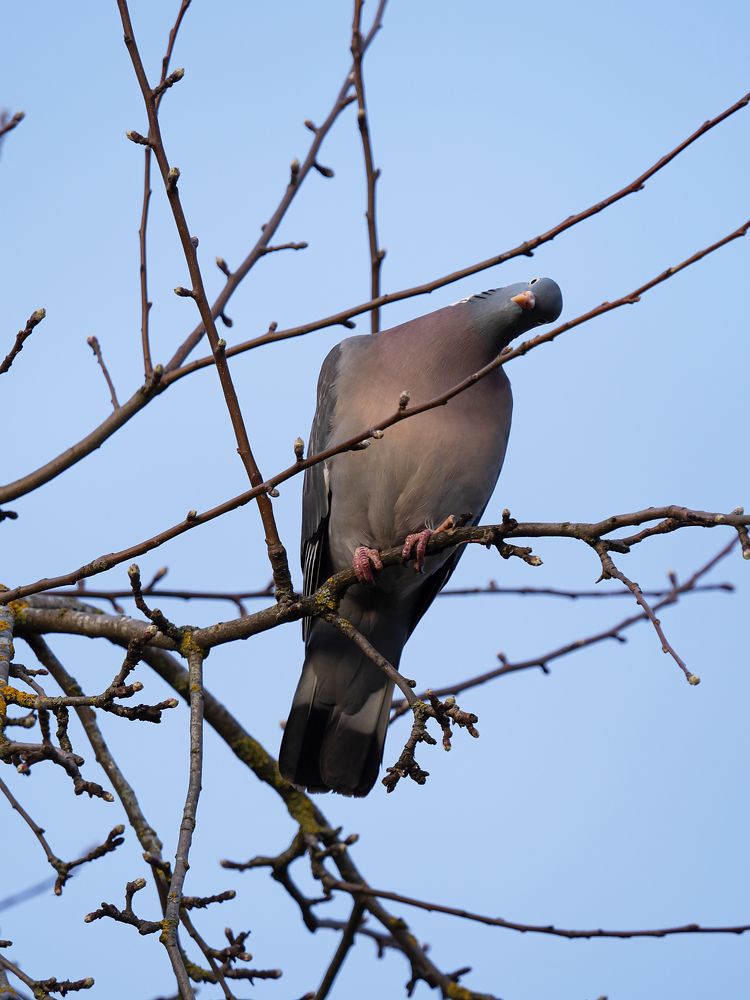 Photograph by Ирина Семёнова