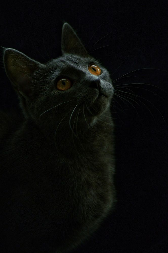 Photograph by Кристина Вингре