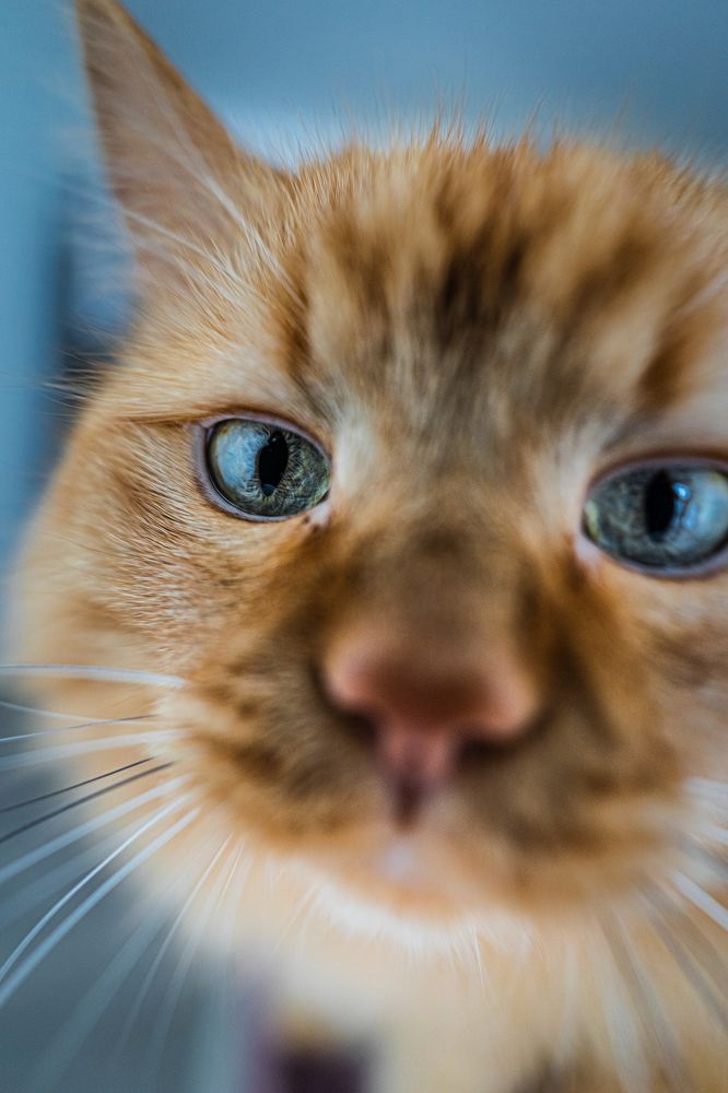 Photograph by Дмитров Андрей