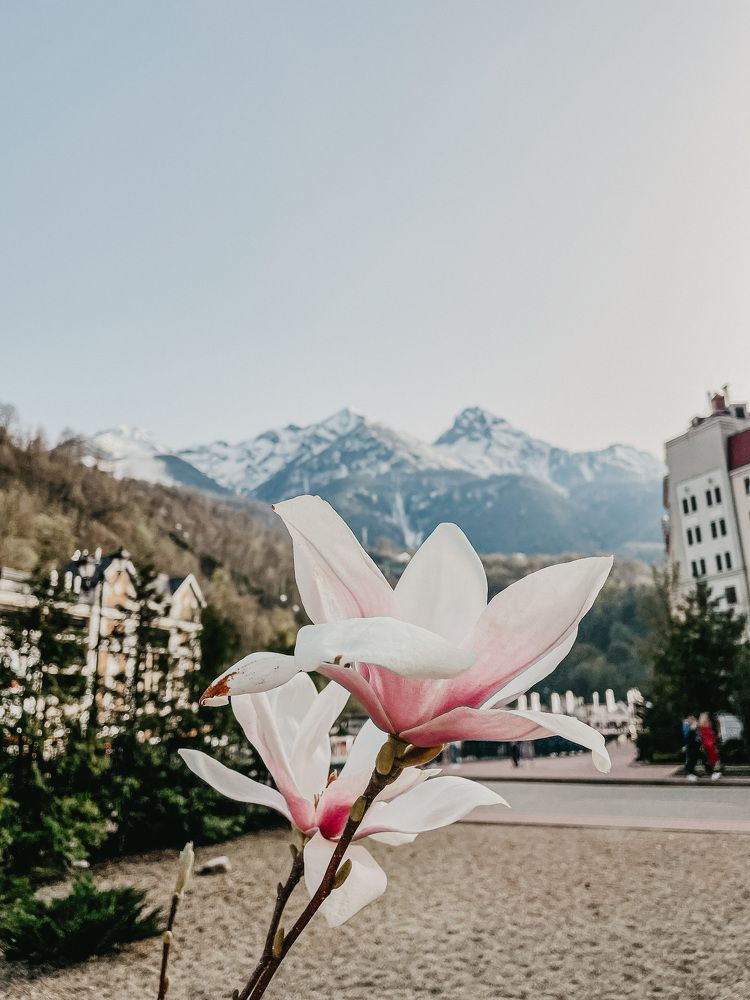 Фотография автора Oxana Yurasova