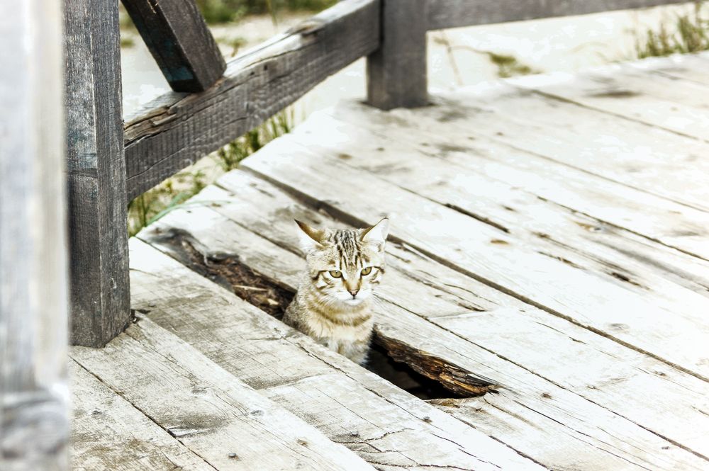Photograph by Евгения