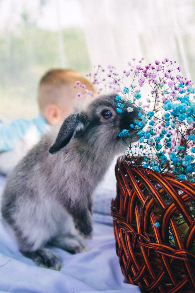 Photograph by Анастасия Мокану