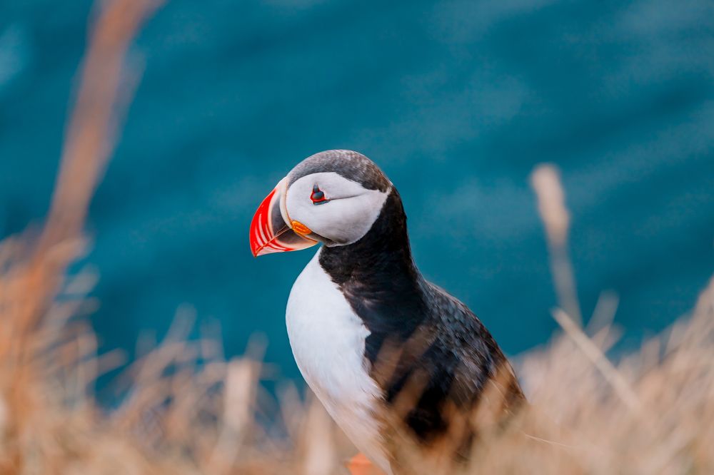 Photograph by Анастасия Сауль