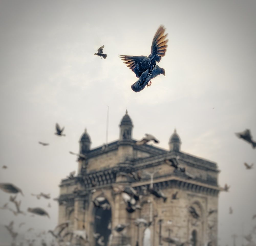 Photograph by Venkatesh Rao