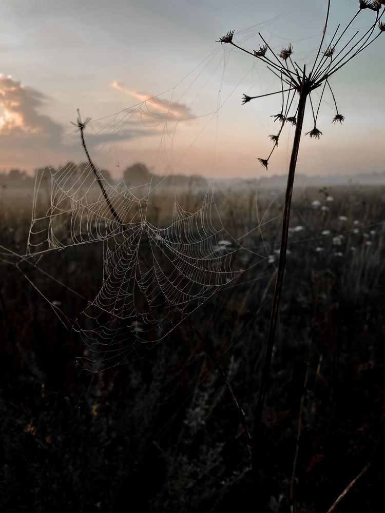 Фотография автора Филатова Алина