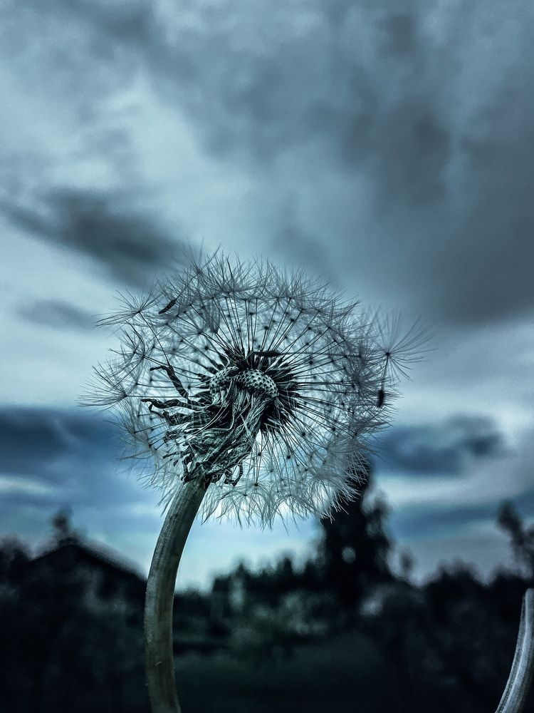 Фотография автора Филатова Алина