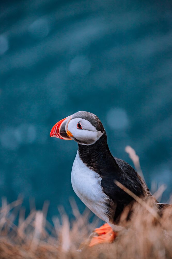 Photograph by Анастасия Сауль