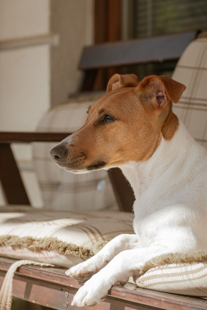 Photograph by Валерия Гарбуз