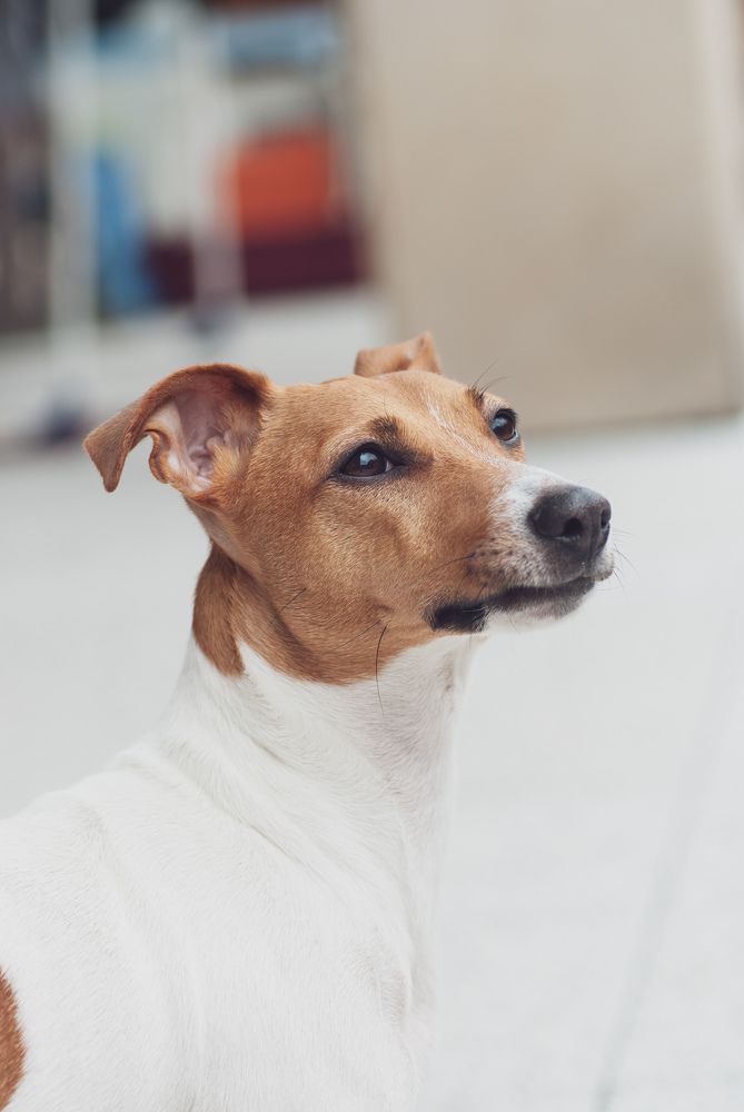 Photograph by Валерия Гарбуз