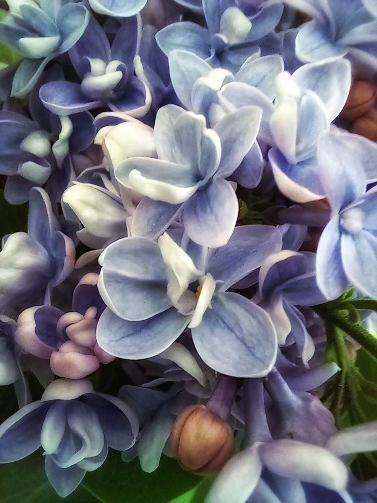 Photograph by Наталья