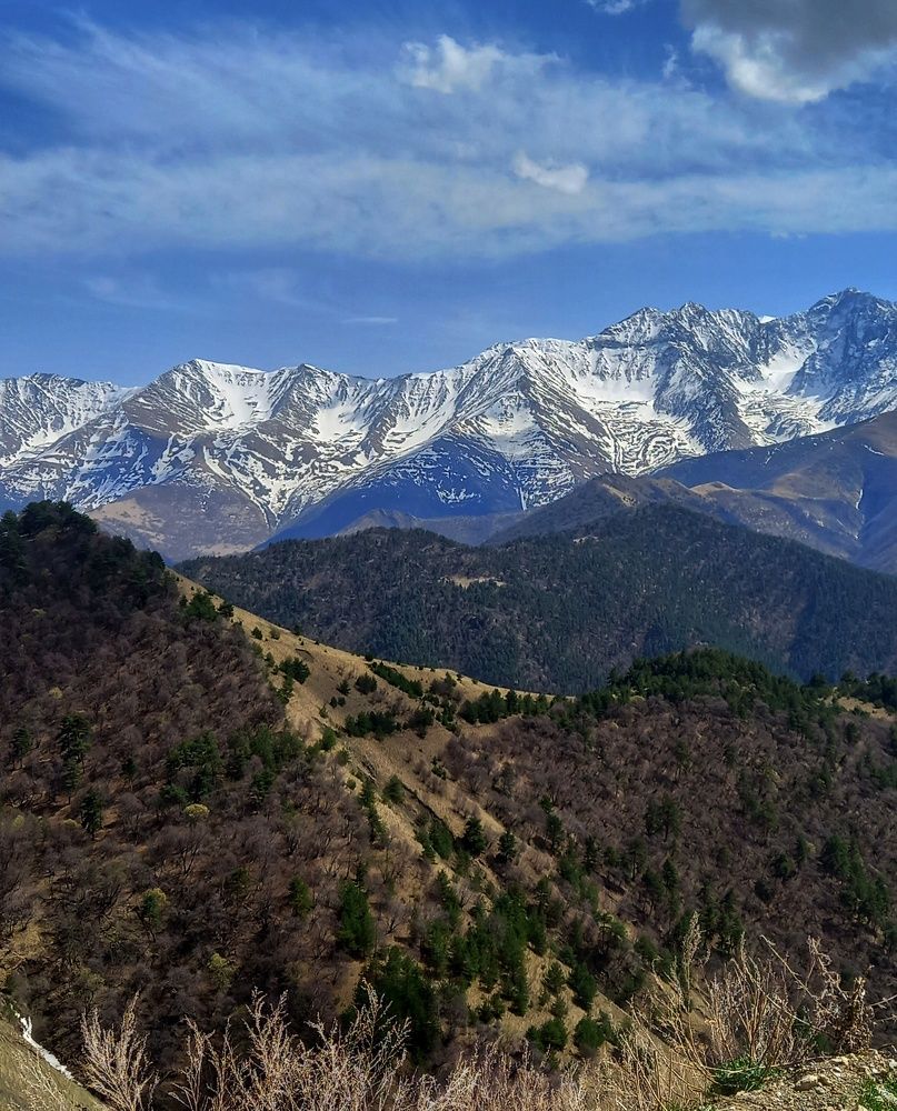 Photograph by Наталья