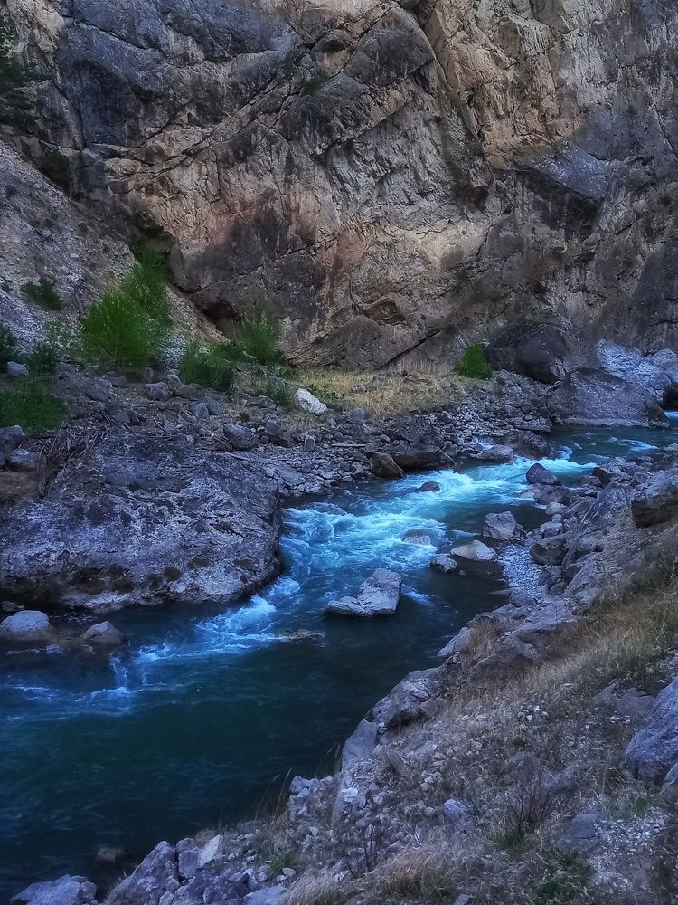 Photograph by Наталья