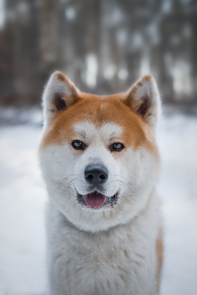 Photograph by Курашкина Анна