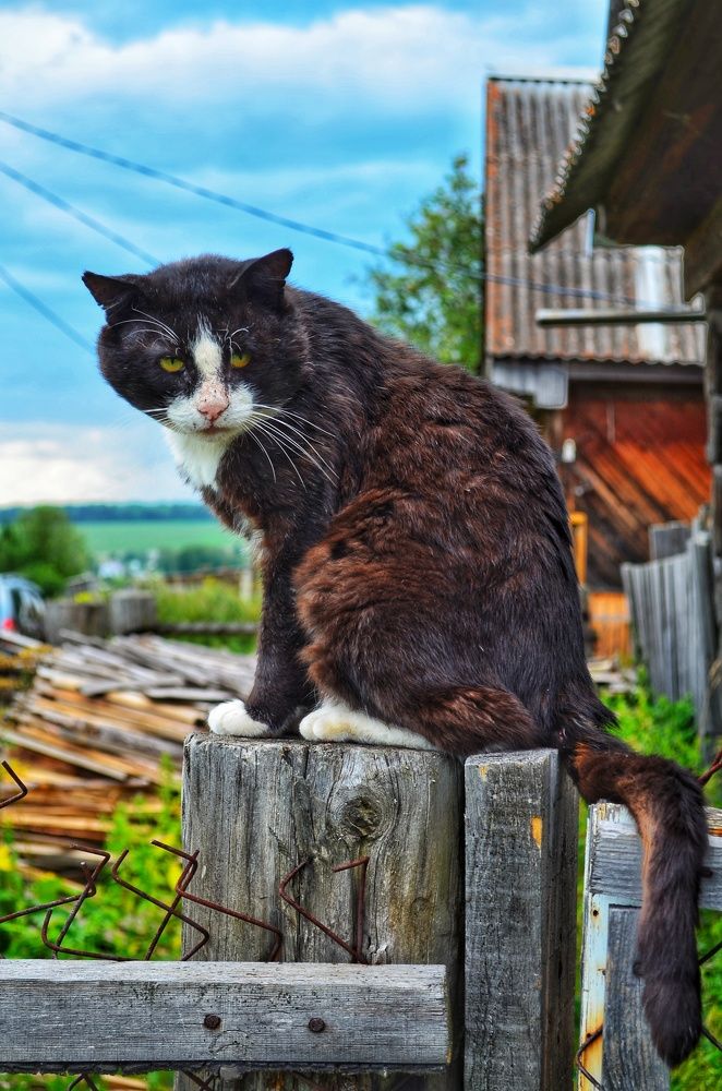 Photograph by Максим Солдатенко